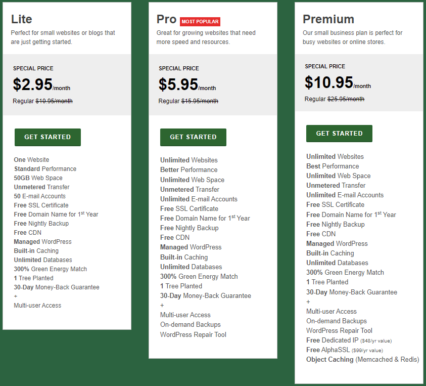 GreenGeeks Shared Web Hosting packages