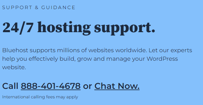 Bluehost 24/7 Customer support